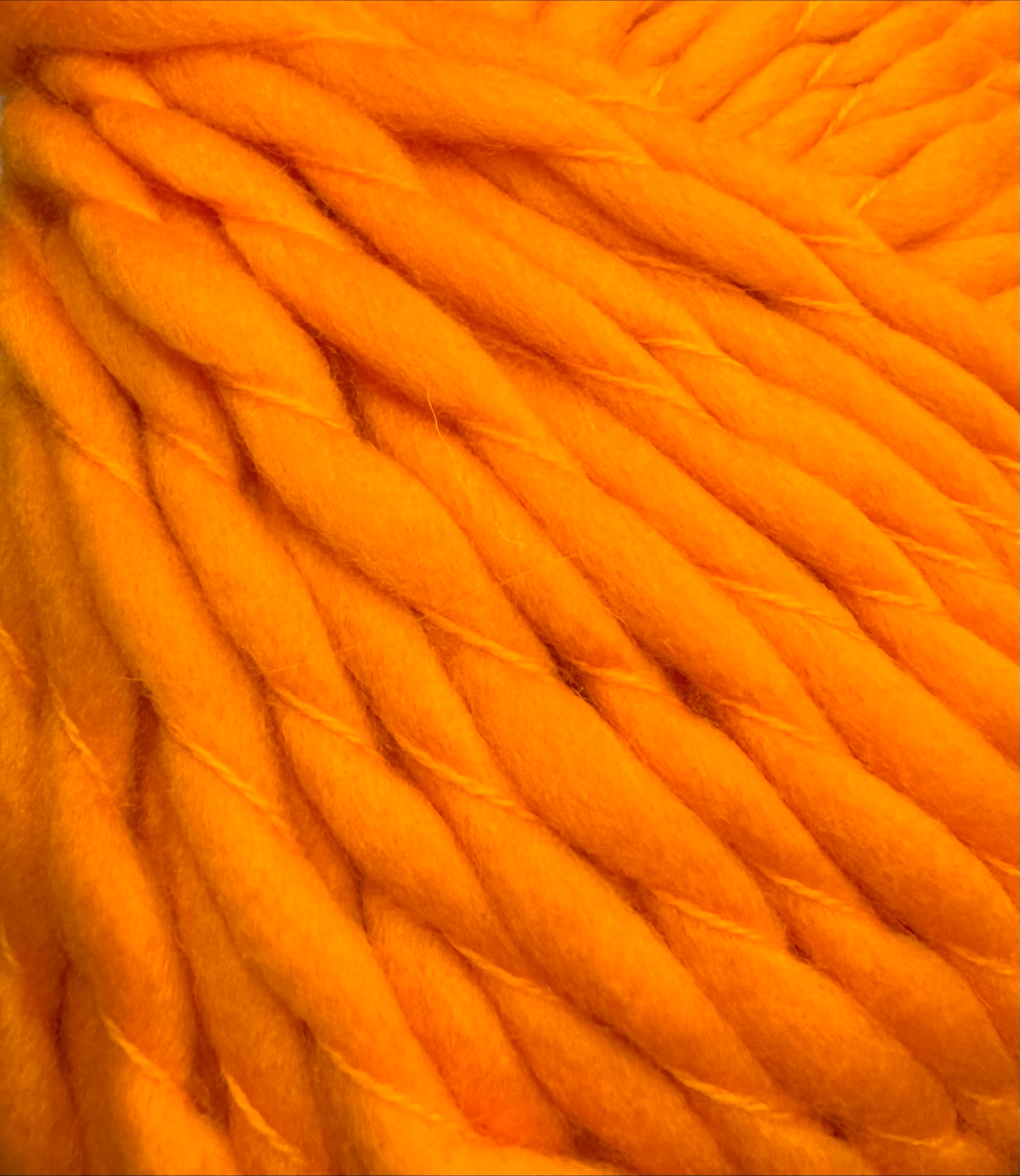 processed-F6DA04A2-96BB-4DE9-9C45-C684E65A86F4 Big Merino CLEMENTINE 956 - Bilde 1