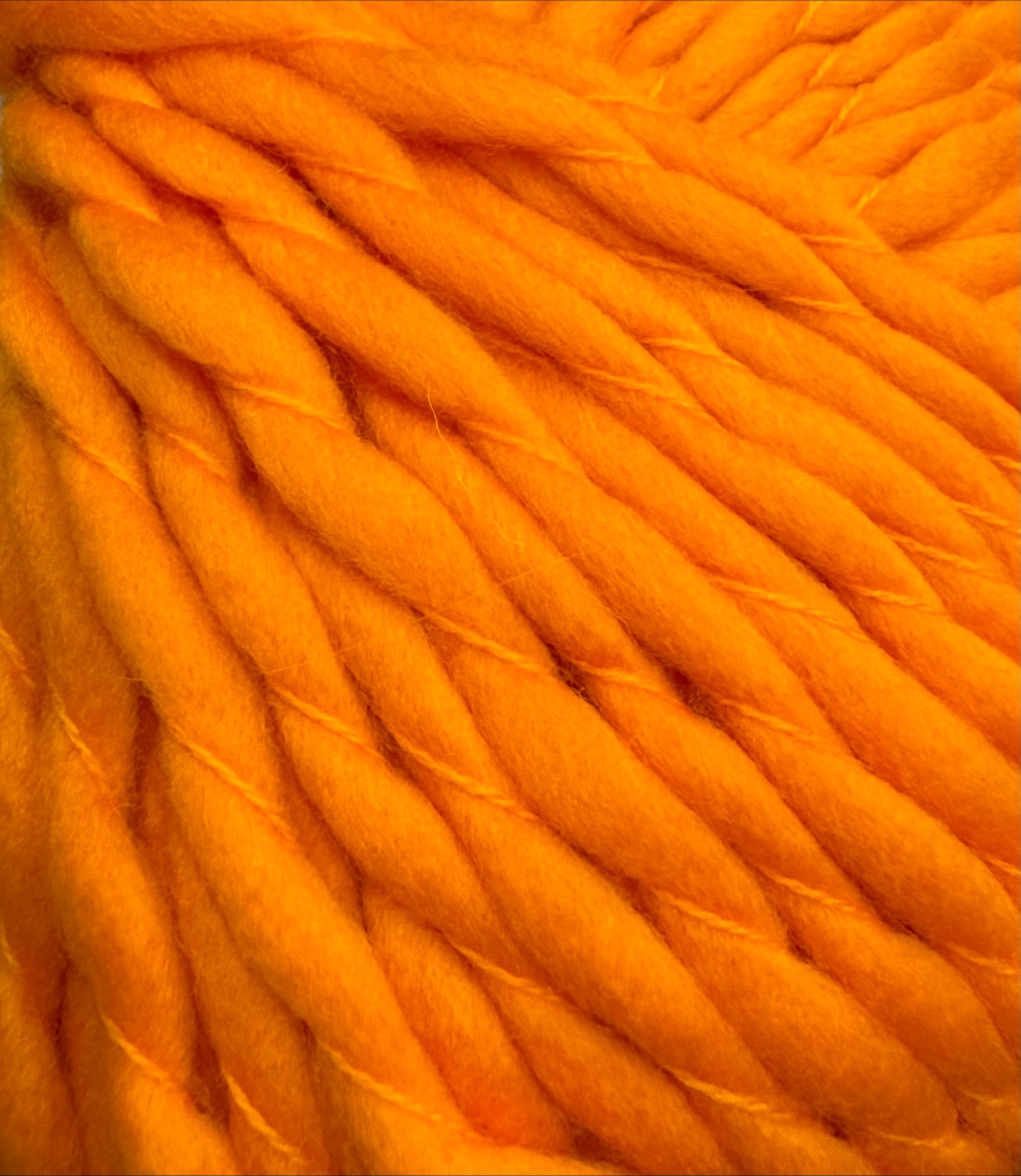 processed-F6DA04A2-96BB-4DE9-9C45-C684E65A86F4 Big Merino CLEMENTINE 956 - Bilde 1