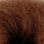 Bella Nutshell 88