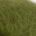 Bella Olive oil 111