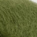Bella Olive oil 111